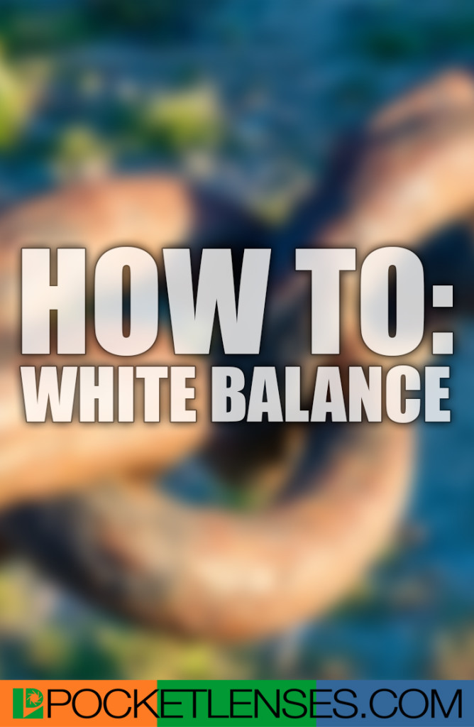 what is 11 point white balance correction